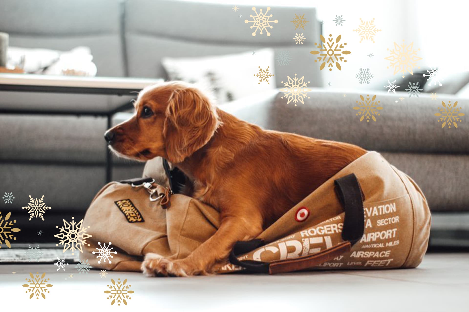 Rogers Data Christmas presents